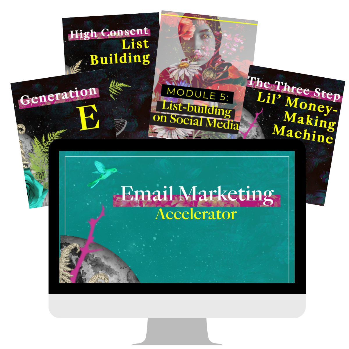 Email Marketing Accelerator desktop image