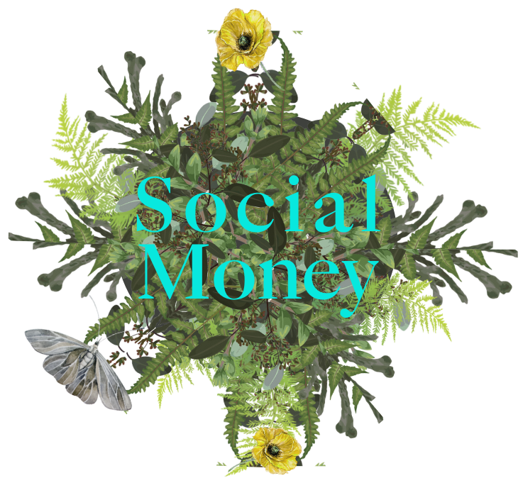 social money (1024 x 676 px)